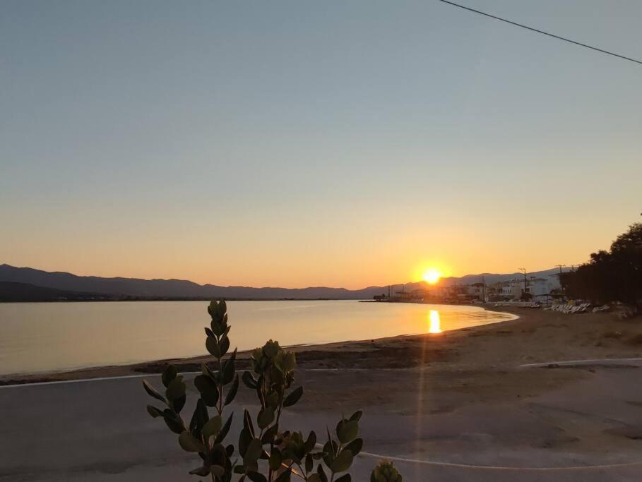 Bahia- Apartment By The Sea Ελαφόνησος Εξωτερικό φωτογραφία